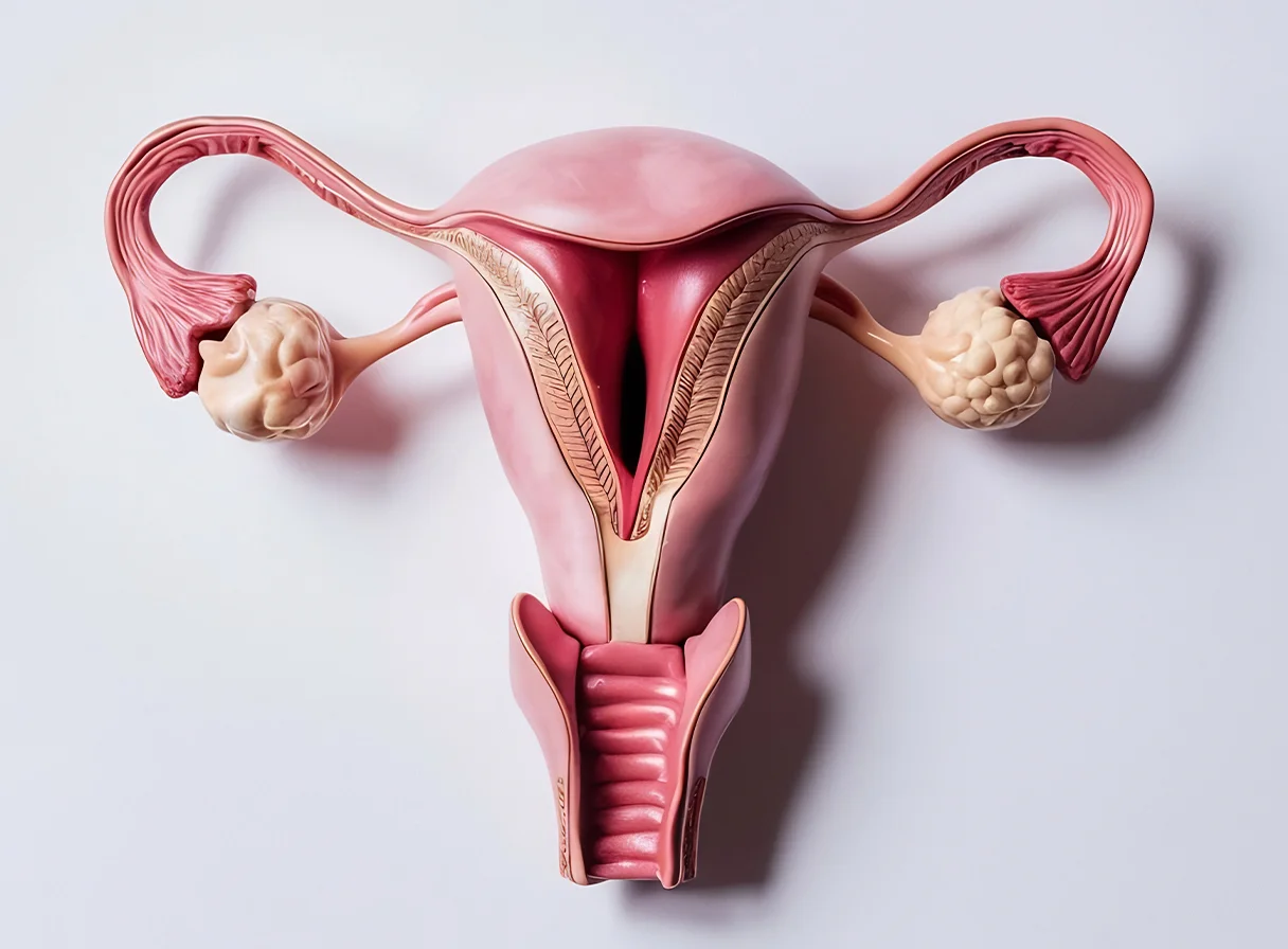 Endometriosis Treatment in Kolkata: Advanced Care with Expert Gynecologists