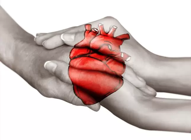 Heart Transplant Cost In Kolkata